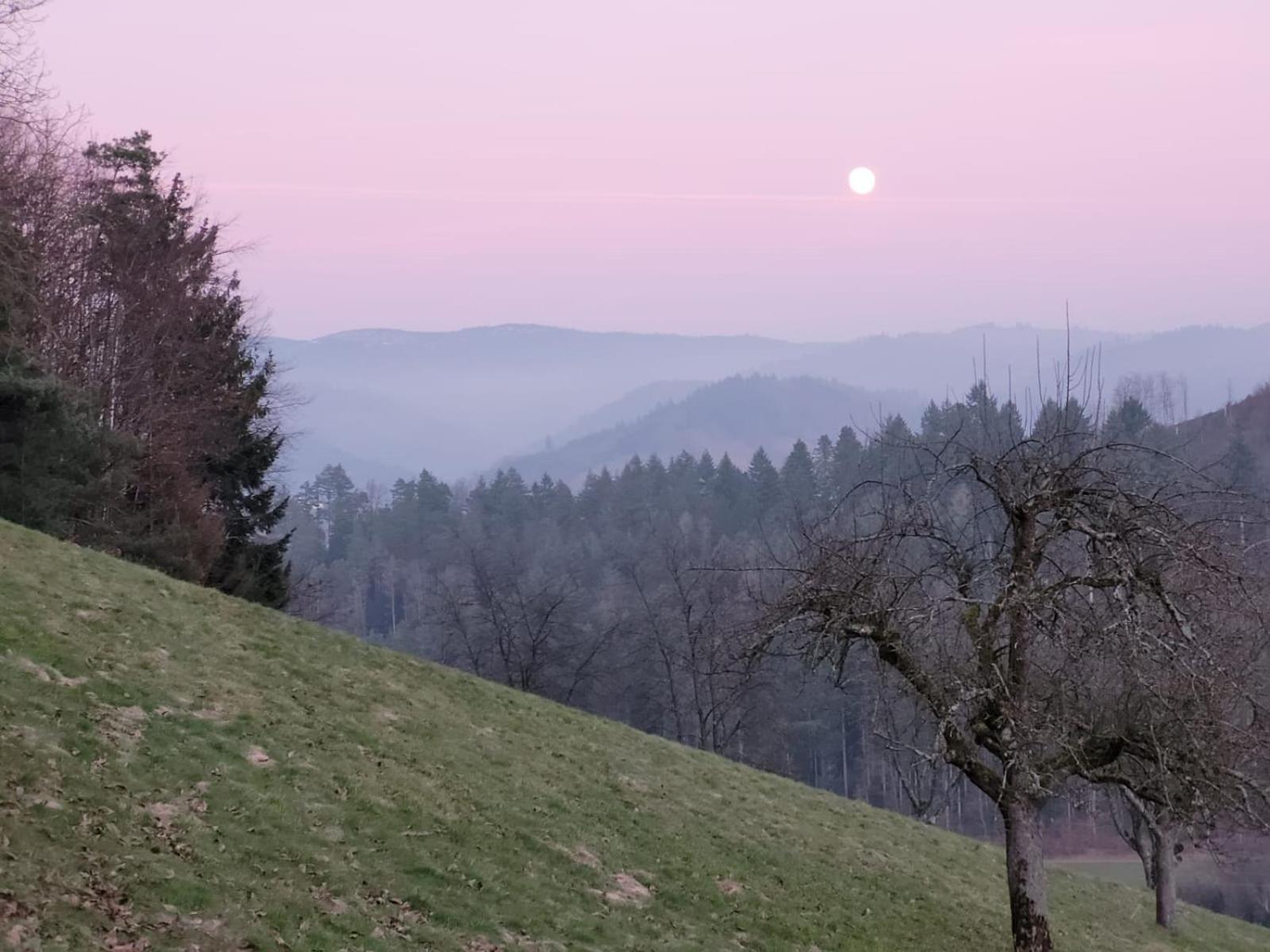 Am Boulevard Gengenbach Zewnętrze zdjęcie